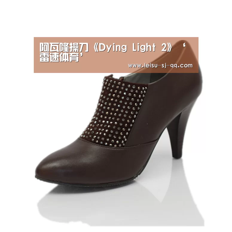 阿瓦隆操刀《Dying Light 2》‘雷速体育’