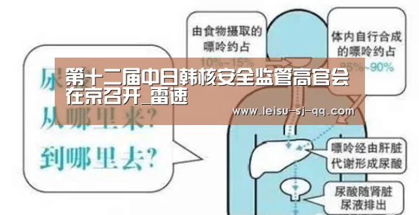 第十二届中日韩核安全监管高官会在京召开_雷速(图1) 雷速官网